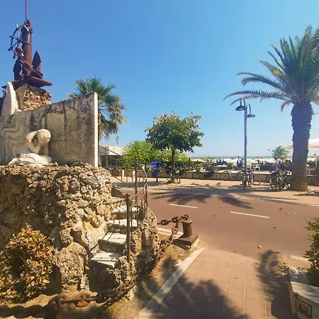 Minerva Int6 - Myho Casa *